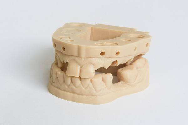 Tree Models | Modelo odontologias 3D